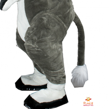 Mascota del burro Planète Mascottes