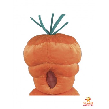 Tête mascotte de carotte