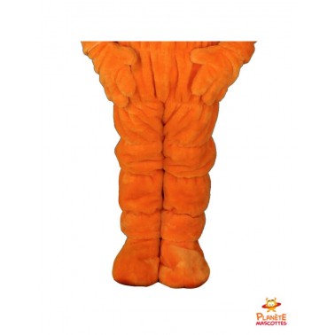 Disfraz de la zanahoria