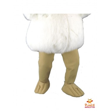 Mascota de Pollo