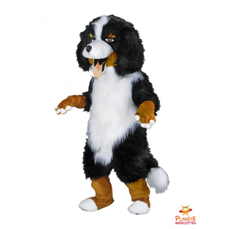 Mascota del perro Saint-Bernard Planète Mascottes