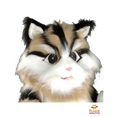 Tête mascotte chat tigré