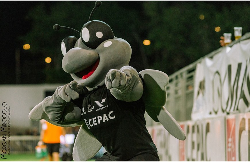 Mascotte Marius Provence Rugby